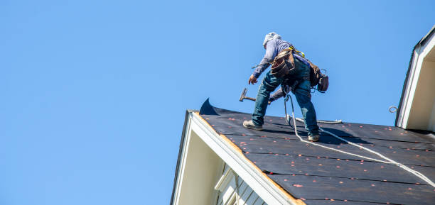 Best Roof Gutter Cleaning  in Jim Thorpe, PA